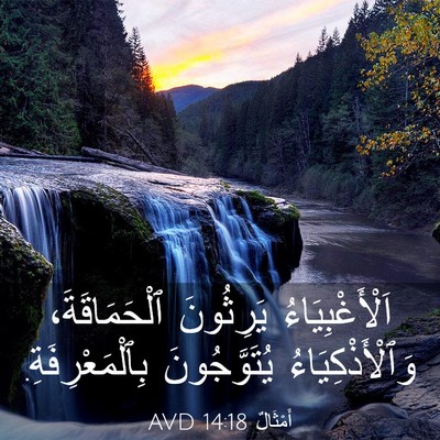 Picture 03 - أَمْثَالٌ 14:18 AVD - اَلْأَغْبِيَاءُ يَرِثُونَ - Bible Verse Picture