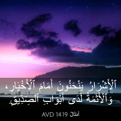 Picture 03 - أَمْثَالٌ 14:19 AVD - ٱلْأَشْرَارُ يَنْحَنُونَ - Bible Verse Picture