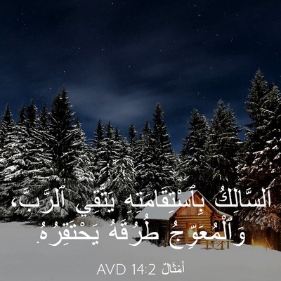 Picture 03 - أَمْثَالٌ 14:2 AVD - اَلسَّالِكُ - Bible Verse Picture
