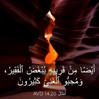 Picture 03 - أَمْثَالٌ 14:20 AVD - أَيْضًا مِنْ قَرِيبِهِ - Bible Verse Picture
