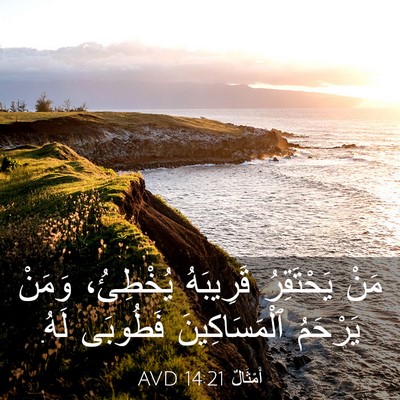 Picture 03 - أَمْثَالٌ 14:21 AVD - مَنْ يَحْتَقِرُ قَرِيبَهُ - Bible Verse Picture