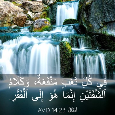 Picture 03 - أَمْثَالٌ 14:23 AVD - فِي كُلِّ تَعَبٍ - Bible Verse Picture