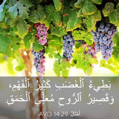 Picture 03 - أَمْثَالٌ 14:29 AVD - بَطِيءُ ٱلْغَضَبِ كَثِيرُ - Bible Verse Picture