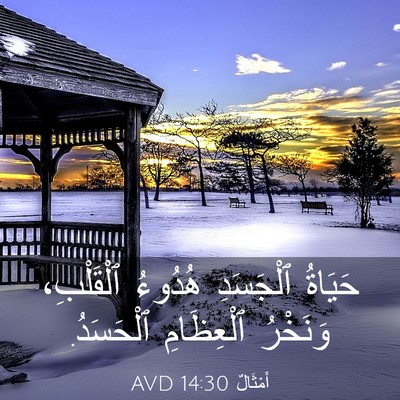 Picture 03 - أَمْثَالٌ 14:30 AVD - حَيَاةُ ٱلْجَسَدِ هُدُوءُ - Bible Verse Picture