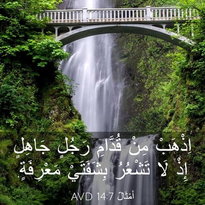 Picture 03 - أَمْثَالٌ 14:7 AVD - اِذْهَبْ مِنْ قُدَّامِ - Bible Verse Picture