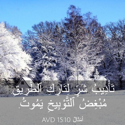 Picture 03 - أَمْثَالٌ 15:10 AVD - تَأْدِيبُ شَرٍّ لِتَارِكِ - Bible Verse Picture