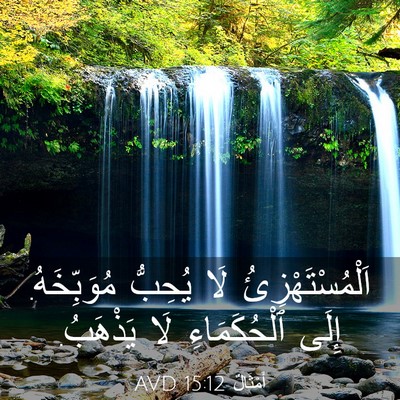 Picture 03 - أَمْثَالٌ 15:12 AVD - اَلْمُسْتَهْزِئُ لَا - Bible Verse Picture