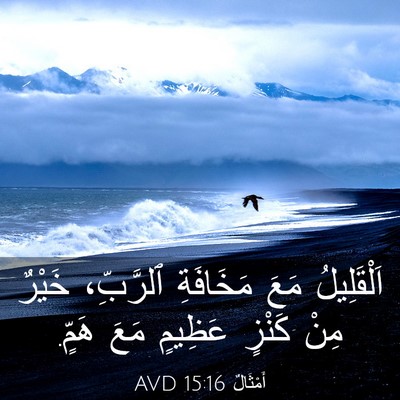 Picture 03 - أَمْثَالٌ 15:16 AVD - اَلْقَلِيلُ مَعَ - Bible Verse Picture