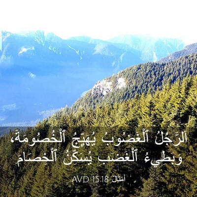 Picture 03 - أَمْثَالٌ 15:18 AVD - اَلرَّجُلُ ٱلْغَضُوبُ - Bible Verse Picture