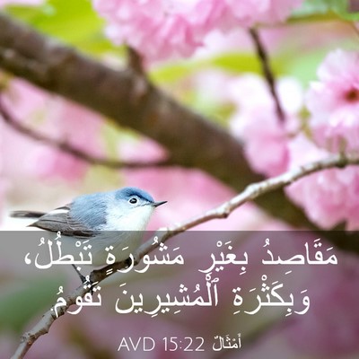 Picture 03 - أَمْثَالٌ 15:22 AVD - مَقَاصِدُ بِغَيْرِ - Bible Verse Picture