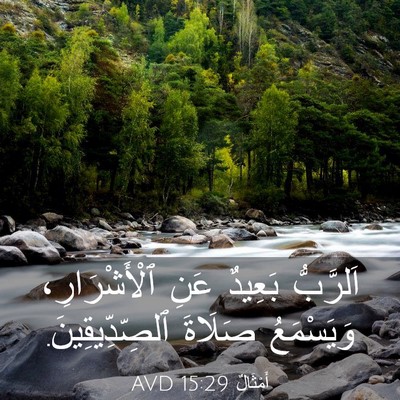 Picture 03 - أَمْثَالٌ 15:29 AVD - اَلرَّبُّ بَعِيدٌ عَنِ - Bible Verse Picture