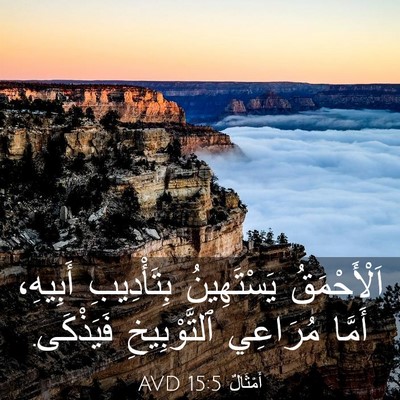 Picture 03 - أَمْثَالٌ 15:5 AVD - اَلْأَحْمَقُ يَسْتَهِينُ - Bible Verse Picture