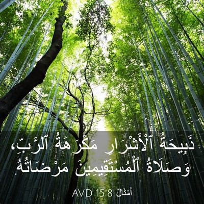 Picture 03 - أَمْثَالٌ 15:8 AVD - ذَبِيحَةُ ٱلْأَشْرَارِ - Bible Verse Picture