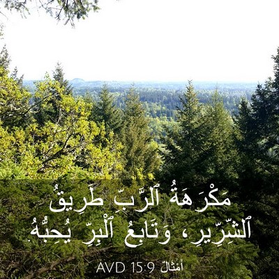 Picture 03 - أَمْثَالٌ 15:9 AVD - مَكْرَهَةُ ٱلرَّبِّ - Bible Verse Picture