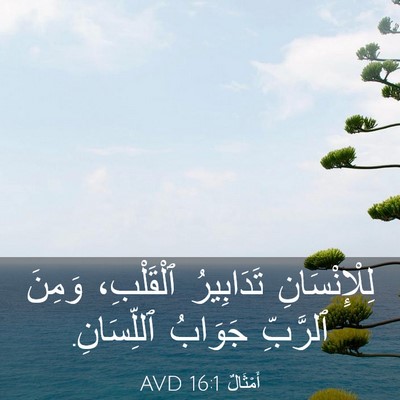 Picture 03 - أَمْثَالٌ 16:1 AVD - لِلْإِنْسَانِ تَدَابِيرُ - Bible Verse Picture