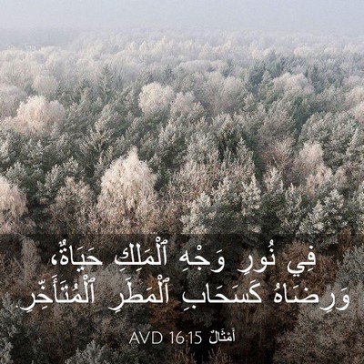 Picture 03 - أَمْثَالٌ 16:15 AVD - فِي نُورِ وَجْهِ ٱلْمَلِكِ - Bible Verse Picture