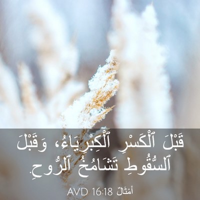 Picture 03 - أَمْثَالٌ 16:18 AVD - قَبْلَ ٱلْكَسْرِ - Bible Verse Picture