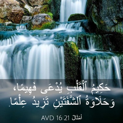 Picture 03 - أَمْثَالٌ 16:21 AVD - حَكِيمُ ٱلْقَلْبِ يُدْعَى - Bible Verse Picture
