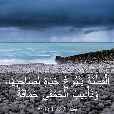 Picture 03 - أَمْثَالٌ 16:22 AVD - ٱلْفِطْنَةُ يَنْبُوعُ - Bible Verse Picture