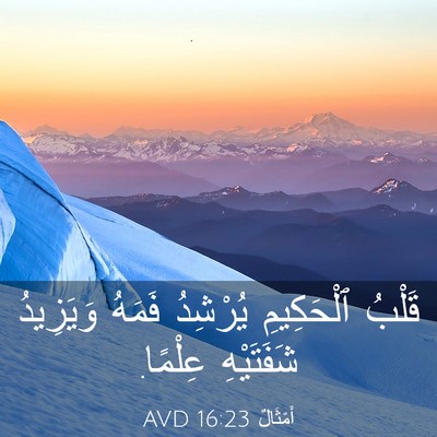 Picture 03 - أَمْثَالٌ 16:23 AVD - قَلْبُ ٱلْحَكِيمِ - Bible Verse Picture