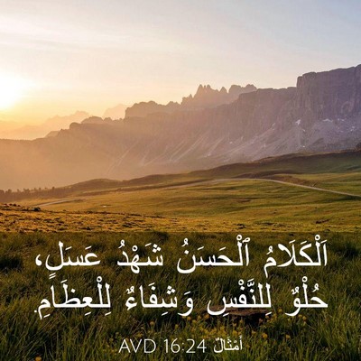 Picture 03 - أَمْثَالٌ 16:24 AVD - اَلْكَلَامُ ٱلْحَسَنُ - Bible Verse Picture