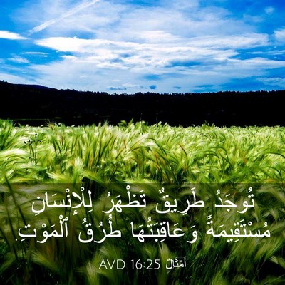 Picture 03 - أَمْثَالٌ 16:25 AVD - تُوجَدُ طَرِيقٌ تَظْهَرُ - Bible Verse Picture