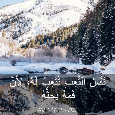 Picture 03 - أَمْثَالٌ 16:26 AVD - نَفْسُ ٱلتَّعِبِ تُتْعِبُ - Bible Verse Picture