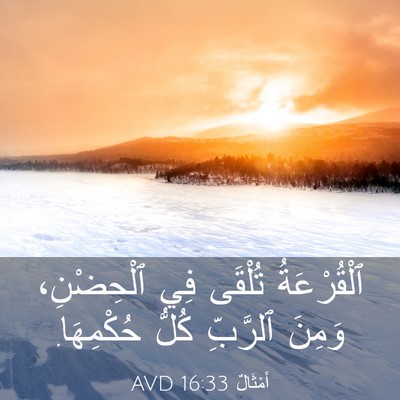 Picture 03 - أَمْثَالٌ 16:33 AVD - ٱلْقُرْعَةُ تُلْقَى فِي - Bible Verse Picture