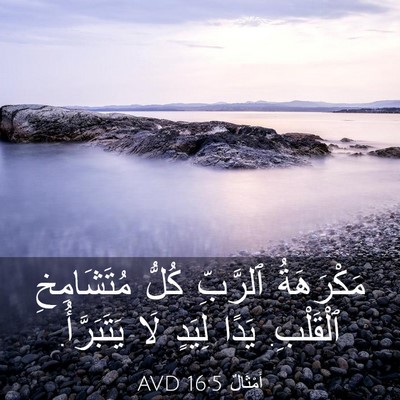 Picture 03 - أَمْثَالٌ 16:5 AVD - مَكْرَهَةُ ٱلرَّبِّ كُلُّ - Bible Verse Picture