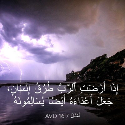 Picture 03 - أَمْثَالٌ 16:7 AVD - إِذَا أَرْضَتِ ٱلرَّبَّ - Bible Verse Picture