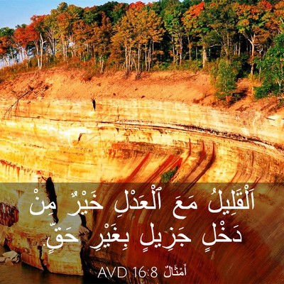 Picture 03 - أَمْثَالٌ 16:8 AVD - اَلْقَلِيلُ مَعَ - Bible Verse Picture