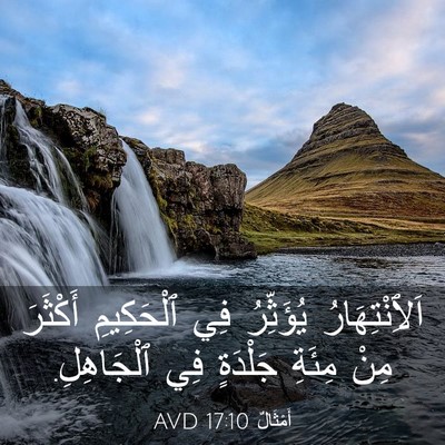 Picture 03 - أَمْثَالٌ 17:10 AVD - اَلِٱنْتِهَارُ يُؤَثِّرُ - Bible Verse Picture