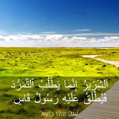 Picture 03 - أَمْثَالٌ 17:11 AVD - اَلشِّرِّيرُ إِنَّمَا - Bible Verse Picture