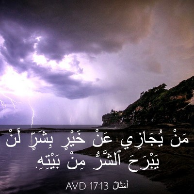 Picture 03 - أَمْثَالٌ 17:13 AVD - مَنْ يُجَازِي عَنْ خَيْرٍ - Bible Verse Picture