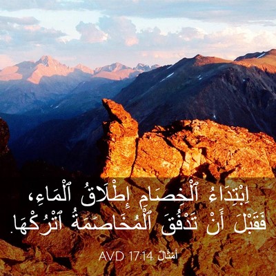 Picture 03 - أَمْثَالٌ 17:14 AVD - اِبْتِدَاءُ ٱلْخِصَامِ - Bible Verse Picture