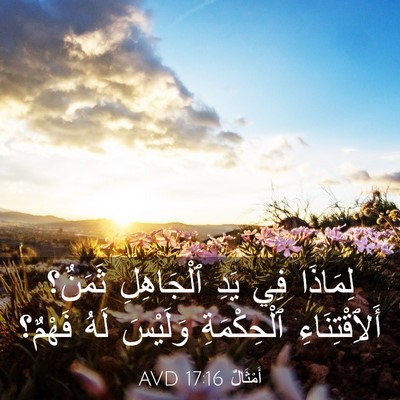 Picture 03 - أَمْثَالٌ 17:16 AVD - لِمَاذَا فِي يَدِ - Bible Verse Picture