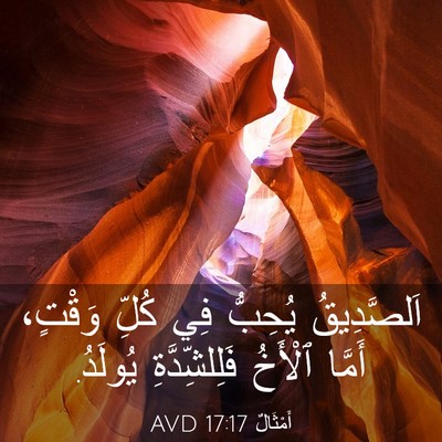 Picture 03 - أَمْثَالٌ 17:17 AVD - اَلصَّدِيقُ يُحِبُّ فِي - Bible Verse Picture