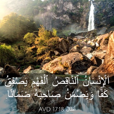 Picture 03 - أَمْثَالٌ 17:18 AVD - اَلْإِنْسَانُ ٱلنَّاقِصُ - Bible Verse Picture