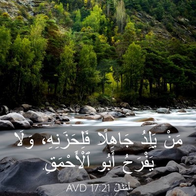 Picture 03 - أَمْثَالٌ 17:21 AVD - مَنْ يَلِدُ جَاهِلًا - Bible Verse Picture