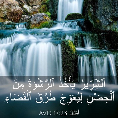Picture 03 - أَمْثَالٌ 17:23 AVD - ٱلشِّرِّيرُ يَأْخُذُ - Bible Verse Picture