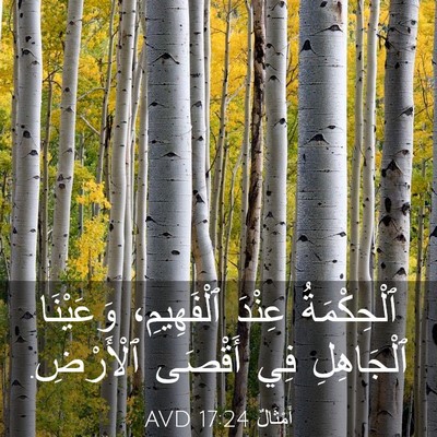 Picture 03 - أَمْثَالٌ 17:24 AVD - ٱلْحِكْمَةُ عِنْدَ - Bible Verse Picture