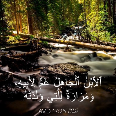 Picture 03 - أَمْثَالٌ 17:25 AVD - ٱلِٱبْنُ ٱلْجَاهِلُ غَمٌّ - Bible Verse Picture