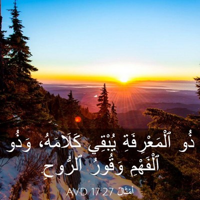 Picture 03 - أَمْثَالٌ 17:27 AVD - ذُو ٱلْمَعْرِفَةِ يُبْقِي - Bible Verse Picture