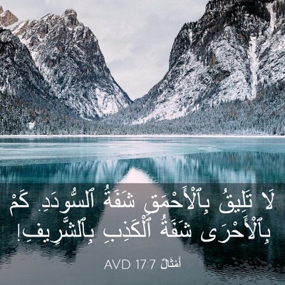 Picture 03 - أَمْثَالٌ 17:7 AVD - لَا تَلِيقُ بِٱلْأَحْمَقِ - Bible Verse Picture