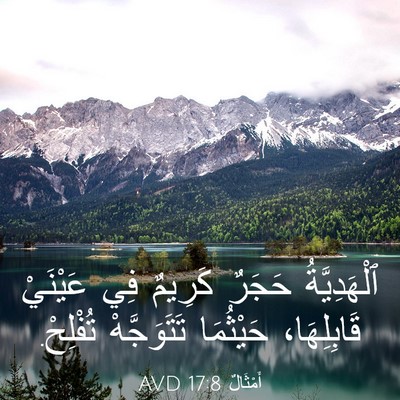 Picture 03 - أَمْثَالٌ 17:8 AVD - ٱلْهَدِيَّةُ حَجَرٌ - Bible Verse Picture