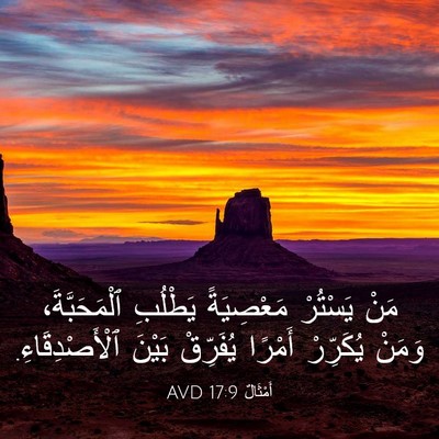 Picture 03 - أَمْثَالٌ 17:9 AVD - مَنْ يَسْتُرْ مَعْصِيَةً - Bible Verse Picture