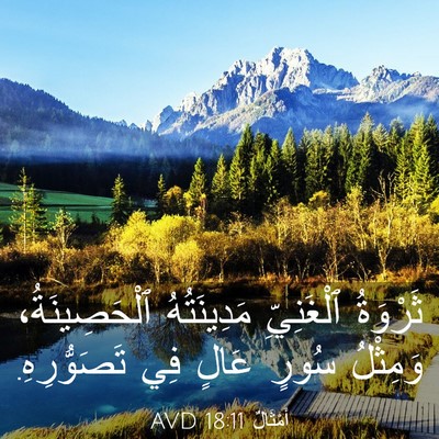 Picture 03 - أَمْثَالٌ 18:11 AVD - ثَرْوَةُ ٱلْغَنِيِّ - Bible Verse Picture