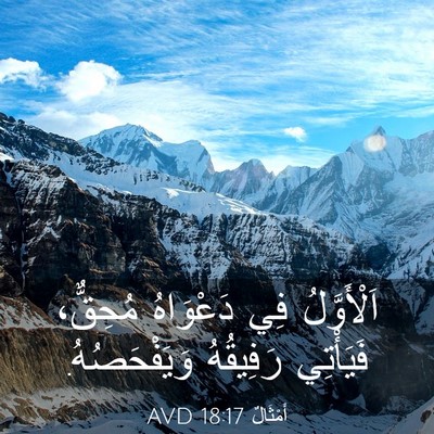 Picture 03 - أَمْثَالٌ 18:17 AVD - اَلْأَوَّلُ فِي دَعْوَاهُ - Bible Verse Picture