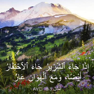 Picture 03 - أَمْثَالٌ 18:3 AVD - إِذَا جَاءَ ٱلشِّرِّيرُ - Bible Verse Picture