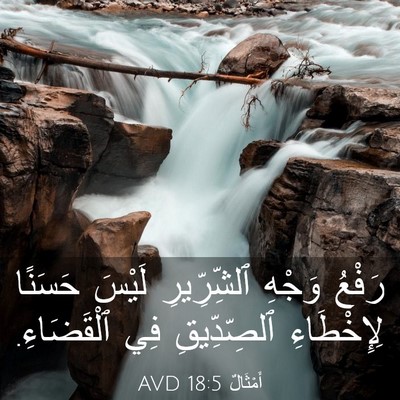 Picture 03 - أَمْثَالٌ 18:5 AVD - رَفْعُ وَجْهِ ٱلشِّرِّيرِ - Bible Verse Picture